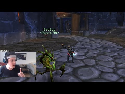 Payo - Drape of the Dark Reavers - TBC Classic Day 33