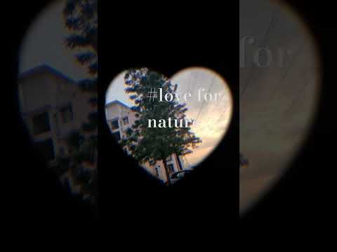 #love for nature
