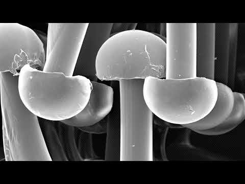 Seite 3 – 3M™ Dual Lock™ SJ3870 (Video)