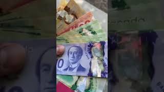 canada Wale dollar status video 2021 #attitude_whatsapp_status #trendingstatusvideo♥️♥️ #boyattitude