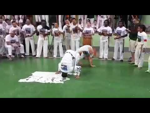 Marimbondo x Tim Tim