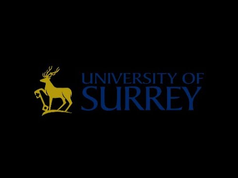 University of Surrey Virtual Open Day & 1-1 Zoom Counselling Session