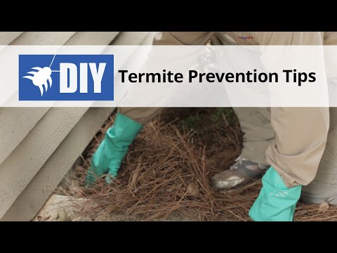  Termite Prevention Tips Video 