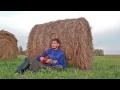Машани - Рубль - доллар 