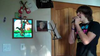 Perfect Night- Haste The Day (vocal cover)