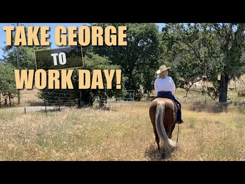 🚜 Beautiful 24 acre Arroyo Grande Ranch for sale! 🤠