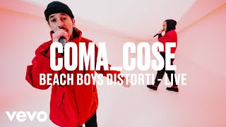 BEACH BOYS DISTORTI Music Video