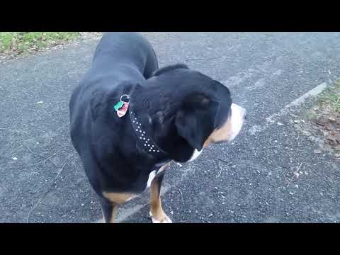 Premium Witze für den Alltag Nr. 070