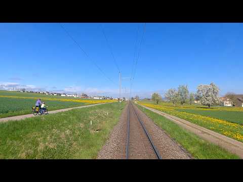 ★ 4K 🇨🇭 Basel - Laufenburg - Romanshorn - Konstanz cab ride, Switzerland [04.2023] with signal info!