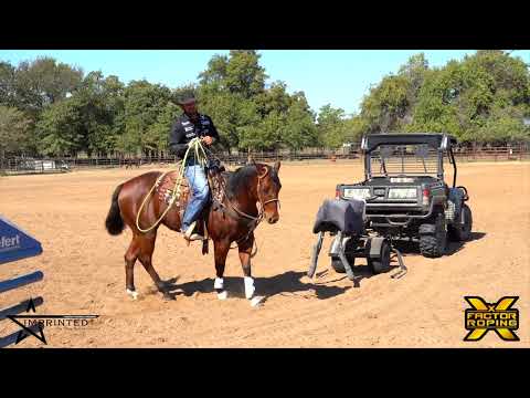 Steps for Beginning Box Work with Shay Carroll