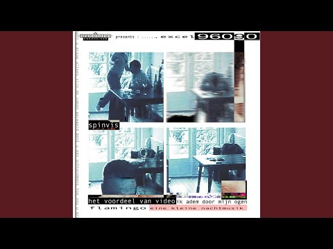 Het Voordeel Van Video