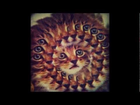 Kidd Niek - Codeine tricks