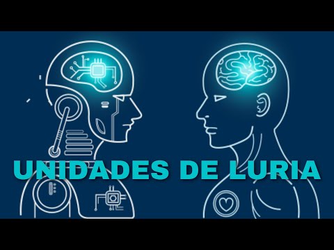 Unidades Funcionales de Luria