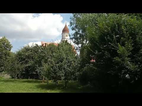 12 Uhr Läuten St Briccius Kirche Ulm-Gögglingen mit Glocke 2