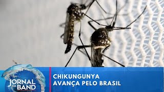 Miniatura do vídeo