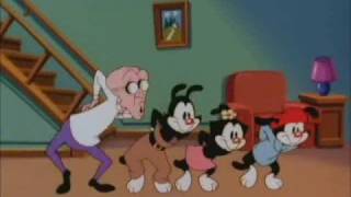 The Monkey Song, Belafonte version with Animaniacs video