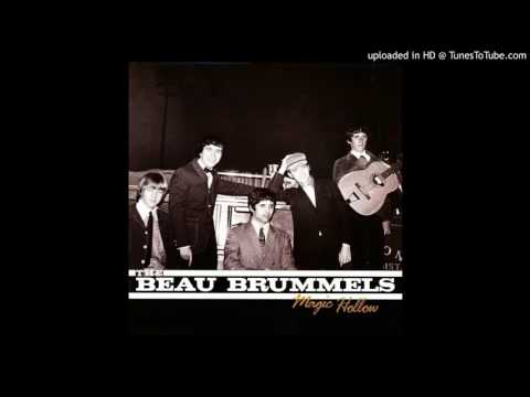Beau Brummels -  Can It Be