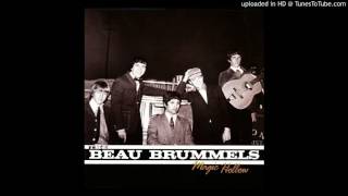 Beau Brummels -  Can It Be