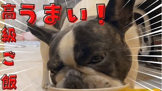 登録者様が１００人超えたので『高級ご飯🍙』あげてみた！✨