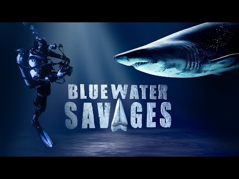 Blue Water Savages: Dusky Sharks