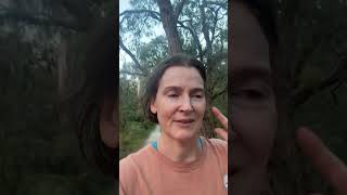 A Strange Interaction on My Walk… (what it reminded me)