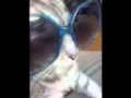 EZ Lounge Mov