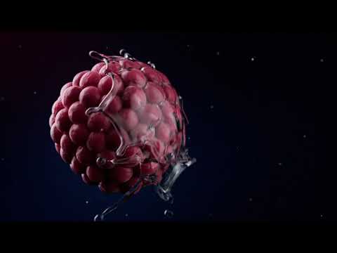 🍬*Raspberry Candy*🍬