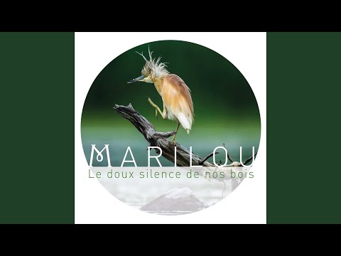 Livre du Sieur d'Ambruis: Le doux silence de nos bois