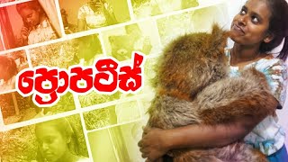Download lagu ප්රොපටීස් - properties | Pahasara Tv Films @manike #manike mp3 Download lagu ප්රොපටීස් - properties | Pahasara Tv Films @manike #manike mp3
