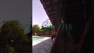 CURIÓ VILA REAL
