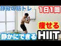 【静かにできるHIIT】痩せる！脂肪燃焼！ミトコンドリア増加！家で筋トレ！！