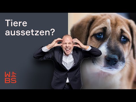 Haustier-Krise: Wegen explodierenden Kosten Tiere aussetzen erlaubt? | Anwalt Christian Solmecke