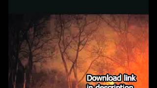 Anna Calvi   Strange Weather feat  David Byrne