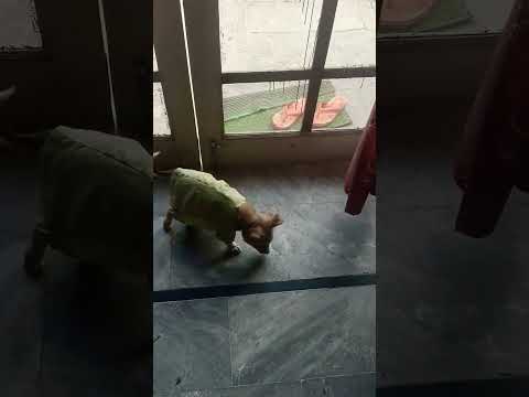 ❤️❣️🤣🤣🤣