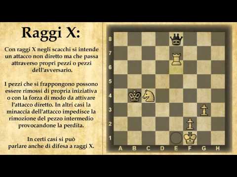 Chess Dictionary - X-Ray - 11