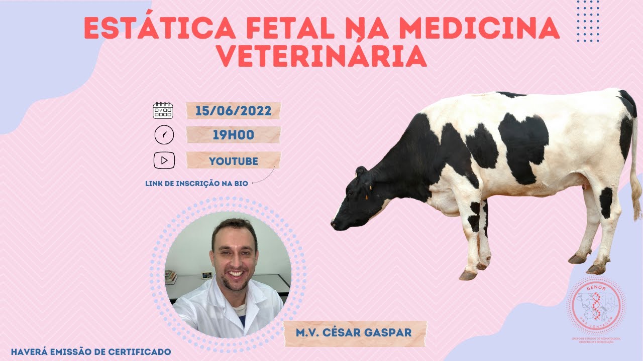 Estática Fetal na Medicina Veterinária