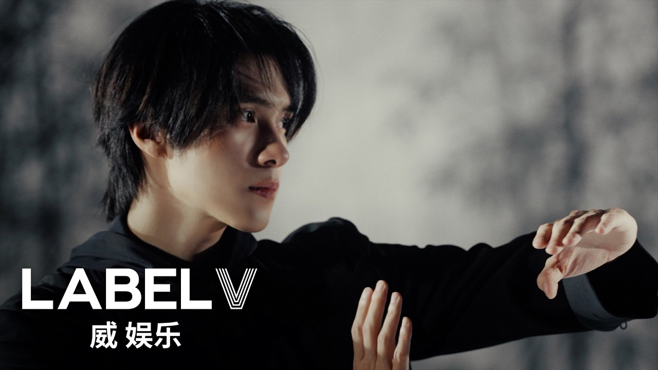WayV 威神V 'Vision Wings' Mood Sampler #HENDERY