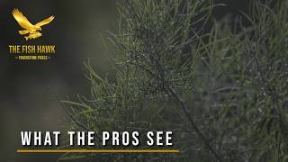 5 Wildlife Filmmaking Techniques the BBC Uses