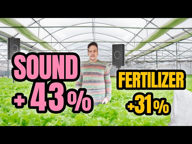 How Sound Dramatically Helps Plants Grow and the Challenges in Proving ...