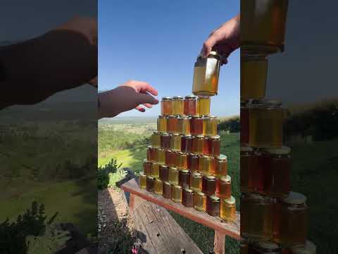 💛🖤 Deluxe Black & Yellow Friday bundle 🐝