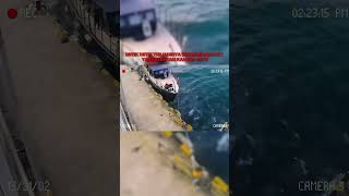 Download lagu terekam kamera cctv, detik detik terjadinya tsunami di palu 2018 #shortsyoutube #cctv #shortvideo mp3 Download lagu terekam kamera cctv, detik detik terjadinya tsunami di palu 2018 #shortsyoutube #cctv #shortvideo mp3