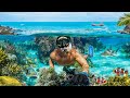 Diving A SECRET REEF In South Florida