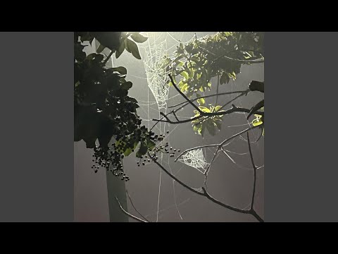 Video thumbnail zcrjLDOl6QI