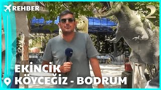 Rehber 278. Bölüm | MUĞLA FULL BÖLÜM İZLE!