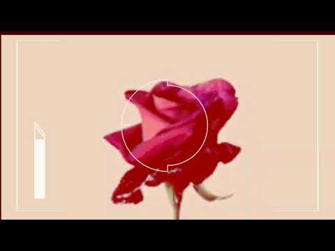 Koan Kharisma x Rico Hardy - Remember