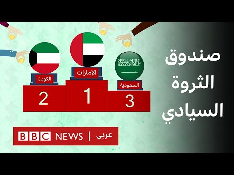 فيديو | ما هو صندوق الثروة السيادي الذي ينوي ترامب إنشاءه لـ"شراء تيك توك"؟