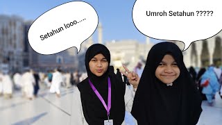 Umroh setahun....berangkat 2024 pulang 2025