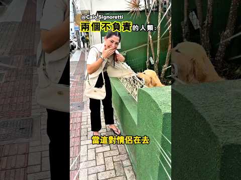 當你撫摸一隻黃金獵犬後會發生的事