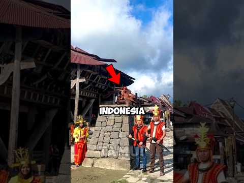 Tradisi Ekstrem di Indonesia! Lompat Batu 2 Meter Tanpa Alat!