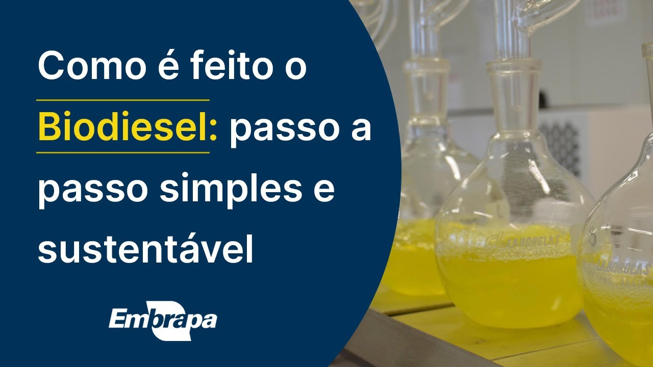 Processo de produção de Biodiesel
